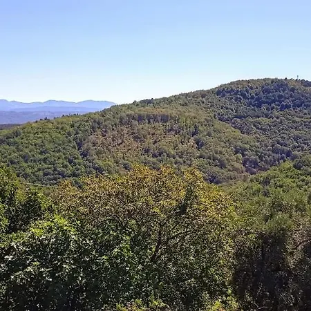 בית נופש Buenavista